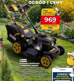 Mrówka Kosiarka spalinowa Rino oferta
