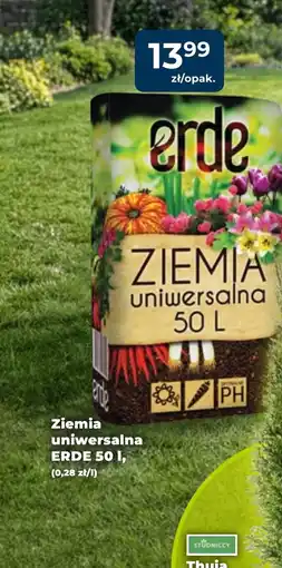 Mrówka Ziemia uniwersalna Erde oferta