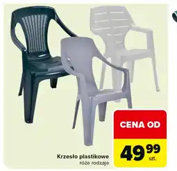 Carrefour Krzesło oferta