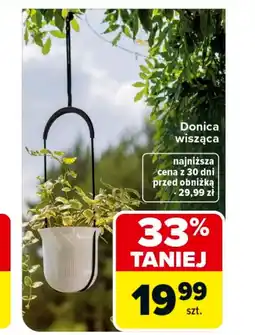 Carrefour Donica oferta