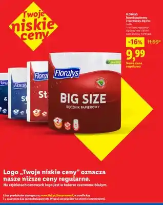 Ręcznik papierowy 2-warstwowy, big size