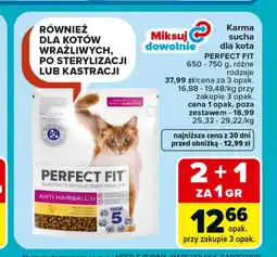 Carrefour Karma dla kota Perfect Fit oferta