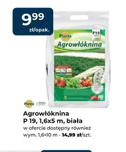 Mrówka Agrowłóknina Planta oferta