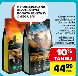 Carrefour Karma dla zwierząt Ambrosia oferta