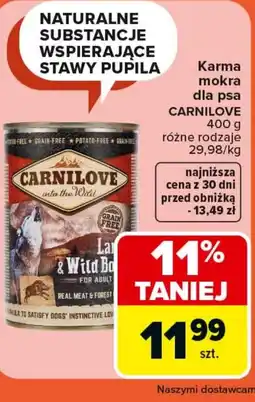 Carrefour Market Karma dla psa carnilove oferta