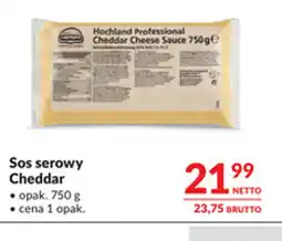 Makro Hochland Professional Sos serowy Cheddar oferta