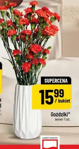 Polomarket Goździki oferta