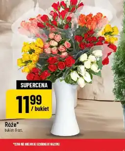 Polomarket Róże oferta