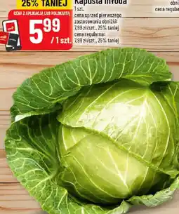 Polomarket Kapusta młoda oferta