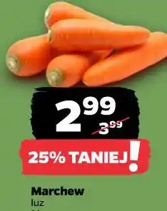 Netto Marchew oferta