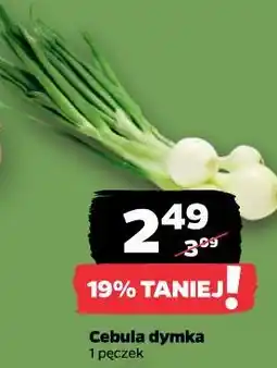 Netto Cebula dymka oferta