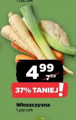 Netto Włoszczyzna oferta