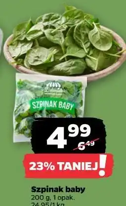 Netto Szpinak baby oferta