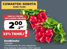 Netto Rzodkiewka 1 pęczek oferta