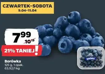 Netto Borówka oferta