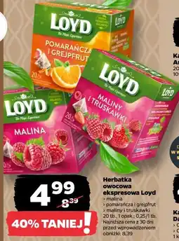 Netto Herbatka owocowa ekspresowa Loyd oferta