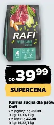 Netto Karma sucha dla psów Rafi oferta