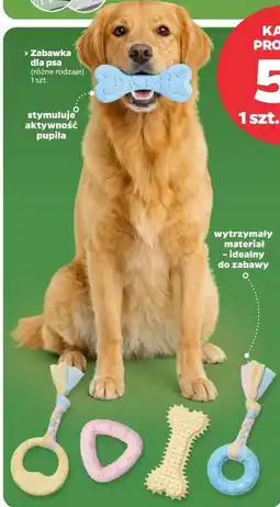 Netto Zabawka dla psa oferta