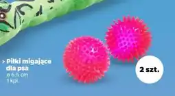 Netto Piłki migające dla psa oferta