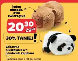 Netto Zabawka pluszowa 2 w 1 panda lub kapibara oferta