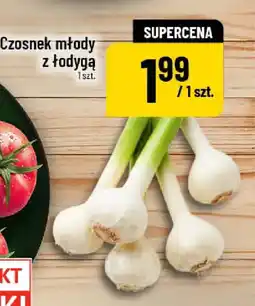 Polomarket Czosnek młody z łodygą oferta