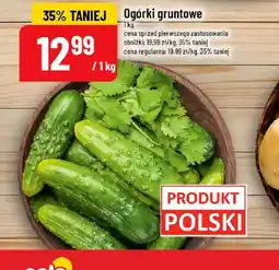 Polomarket Ogórki gruntowe oferta