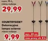Kaufland Dekoracyjna lampa solarna różne rodzaje oferta