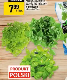Polomarket Pietruszka, mięta, bazylia lub mix ziół oferta