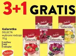 Intermarche Galaretka DELECTA wybrane rodzaje oferta
