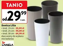 Intermarche Donica Lilia oferta