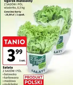 Intermarche Sałata Z SADÓW I PÓL • batawska • karbowana • masłowa • mulickolor oferta