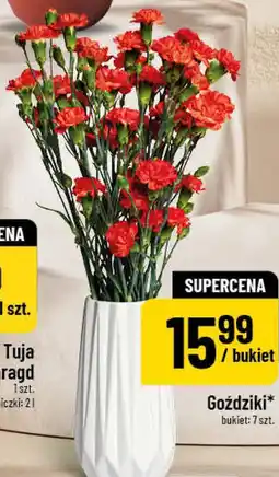 Polomarket Goździki bukiet: 7 szt oferta
