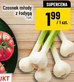 Polomarket Czosnek młody z łodygą 1 szt oferta