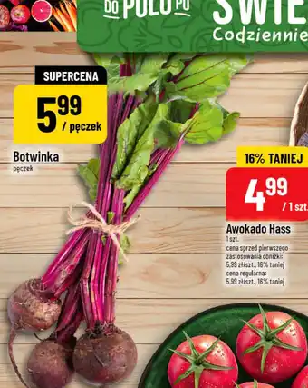 Polomarket Botwinka pęczek oferta