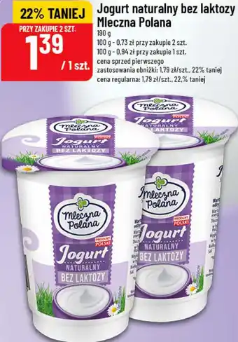 Polomarket Jogurt naturalny bez laktozy Mleczna Polana oferta