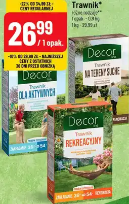 Polomarket Trawnik Decor line oferta