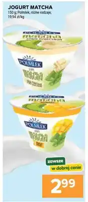 Stokrotka Jogurt matcha zielona herbata oferta