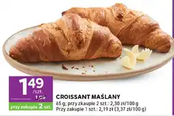Stokrotka Croissant maślany oferta