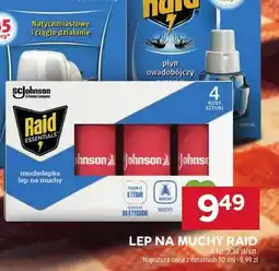 Stokrotka Lep na muchy oferta