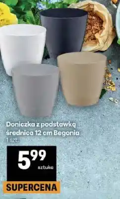 Delikatesy Centrum Doniczka z podstawką średnica 12 cm oferta