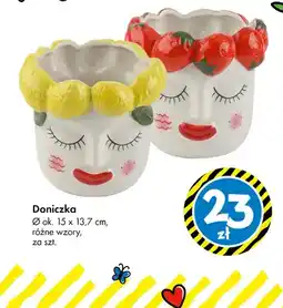 Tedi Doniczka z różnymi wzorami cytryny oferta