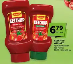 ABC Ketchup wybrane rodzaje oferta