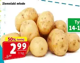 Prim Market Ziemniaki młode oferta