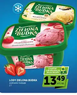 ABC Lody Zielona Budka wybrane rodzaje oferta