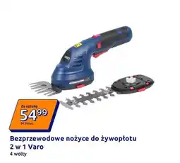 Action Bezprzewodowe nożyce do żywopłotu 2w1 oferta