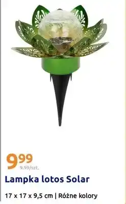 Action Lampka lotos Solar różne kolory oferta