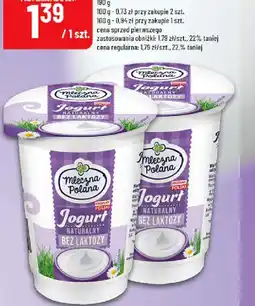Polomarket Mleczna Polana Jogurt naturalny oferta