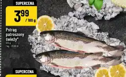 Polomarket Pstrąg patroszony świeży oferta