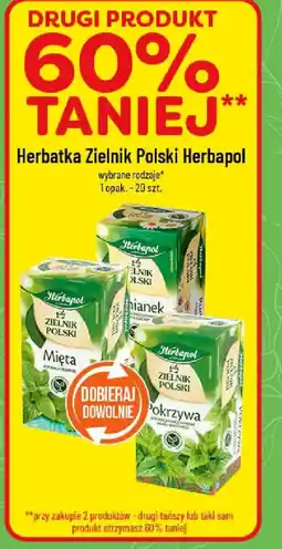 Polomarket Herbatka Zielnik Polski Herbapol oferta