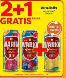 Polomarket Warka Radler oferta